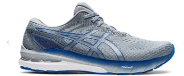 ASICS Men's GT 2000 10