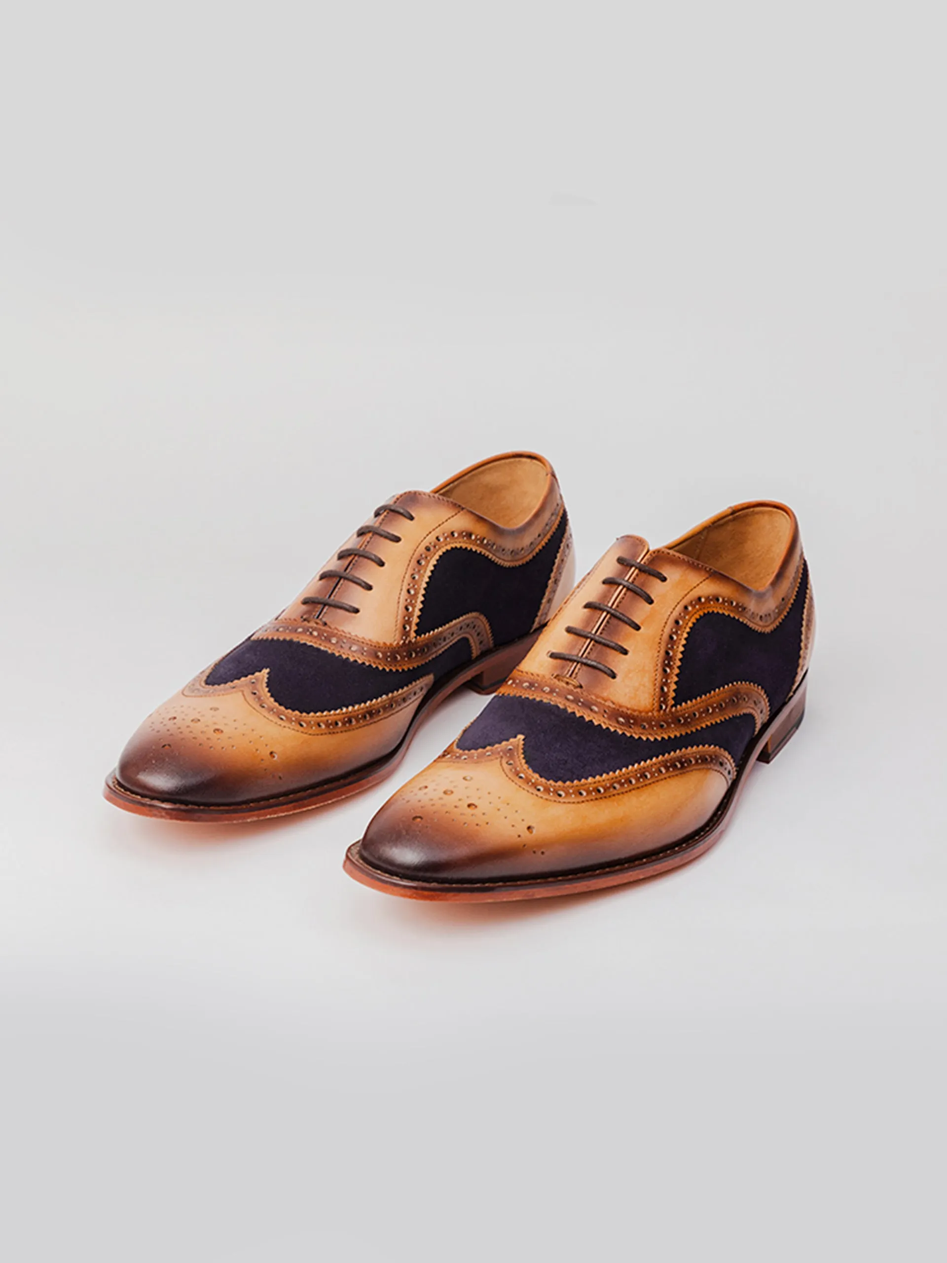 Stella Spectator Wingtip Oxford - Tan/ Blue